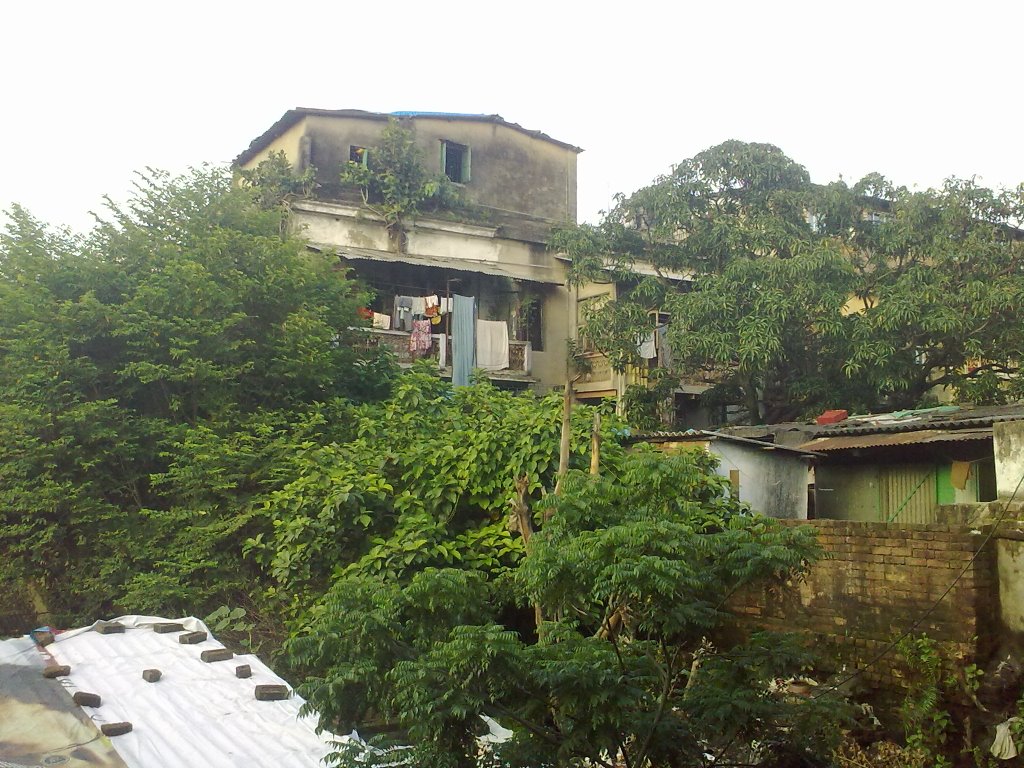 Old Calcutta (Kolkata)
