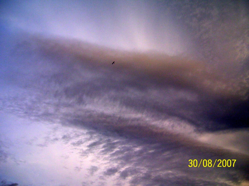 flying in the sky
