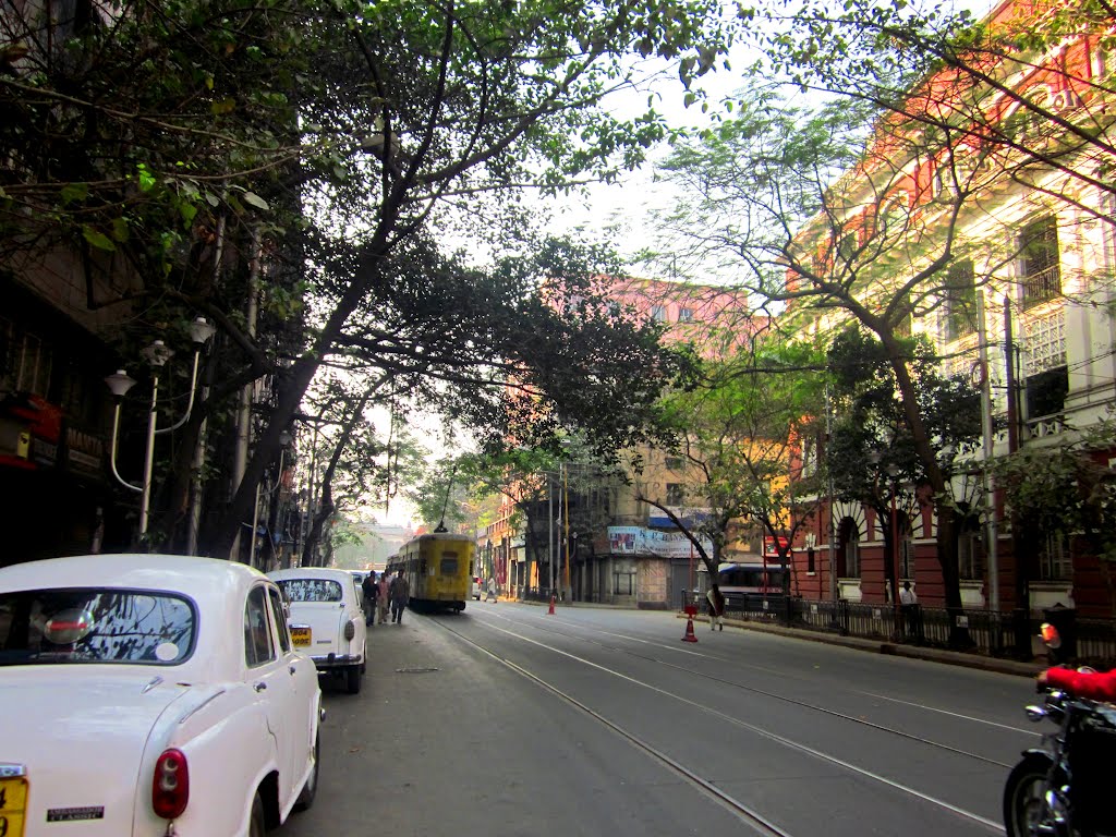 Tram near to Lal Bazar kolkata