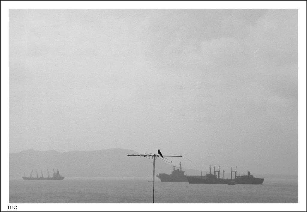 the crow and the ships ©monochromo (weggi.ch)