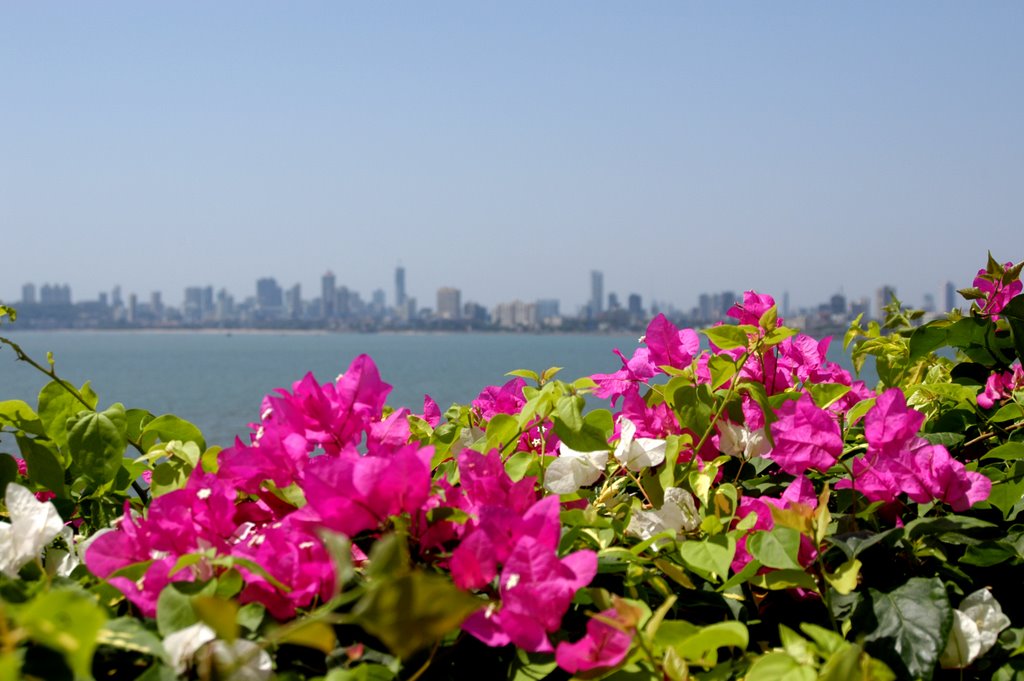 Bombay: Marina Drive