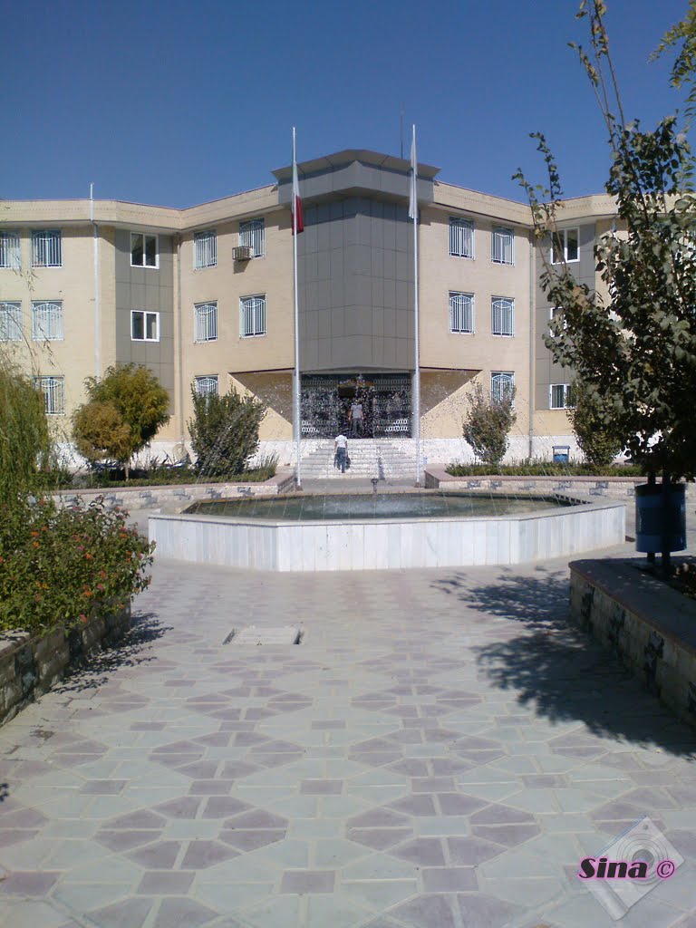 Final days of University-(sina rahnemaie)