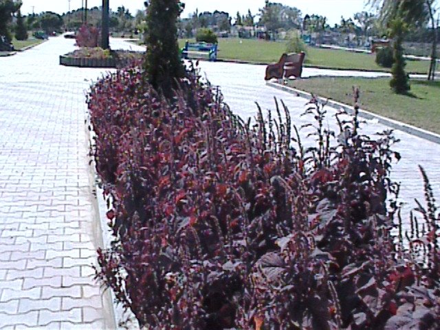 Babolsar River park