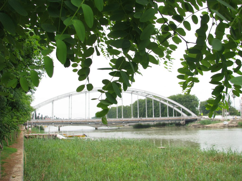 nice bridge in Babolsar...