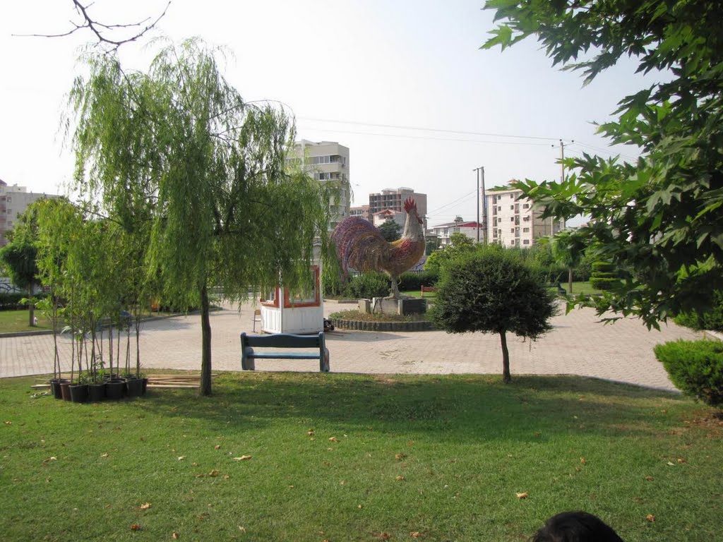 Shora Park -  پارک شورا