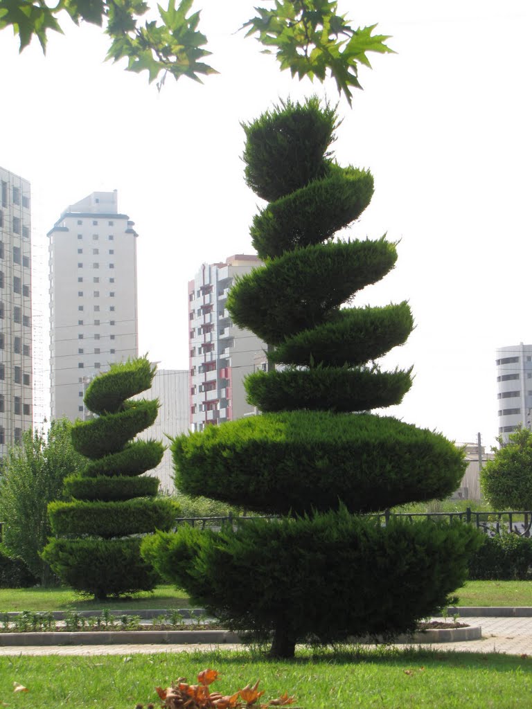 Shora Park پارک شورا