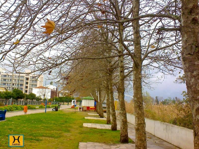 Fall in babolsar ... پائیز در بابلسر
