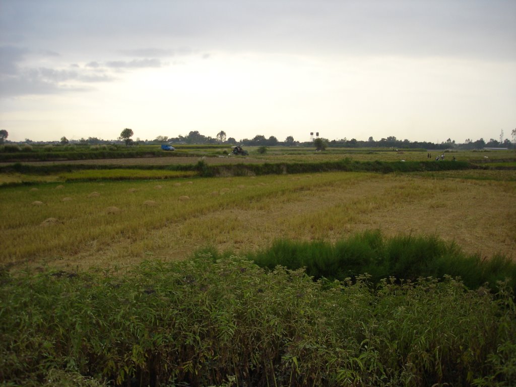 Babolsar2