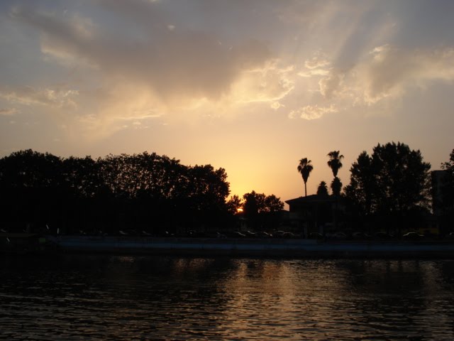 Good bye/ بدرود