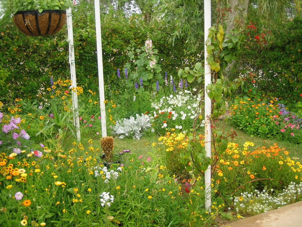 منزلی در بوارده شمالی