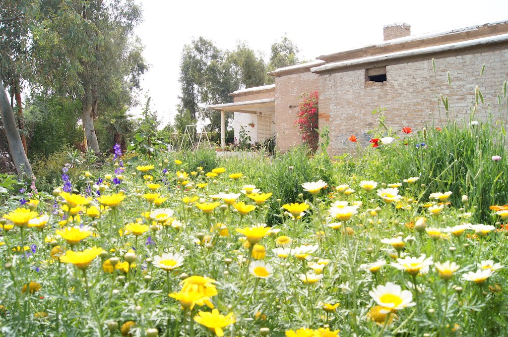 Wild Garden-North Bovardeh