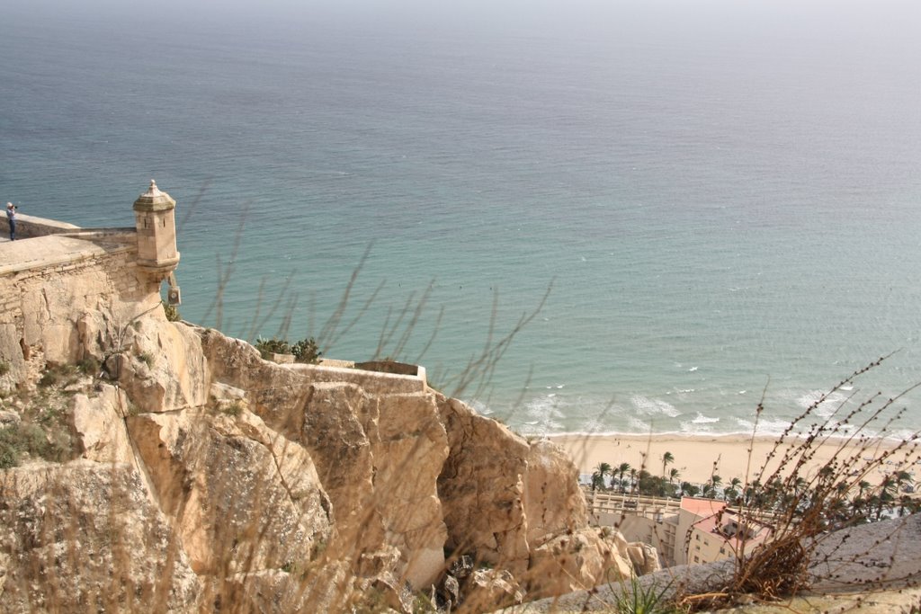 Alicante