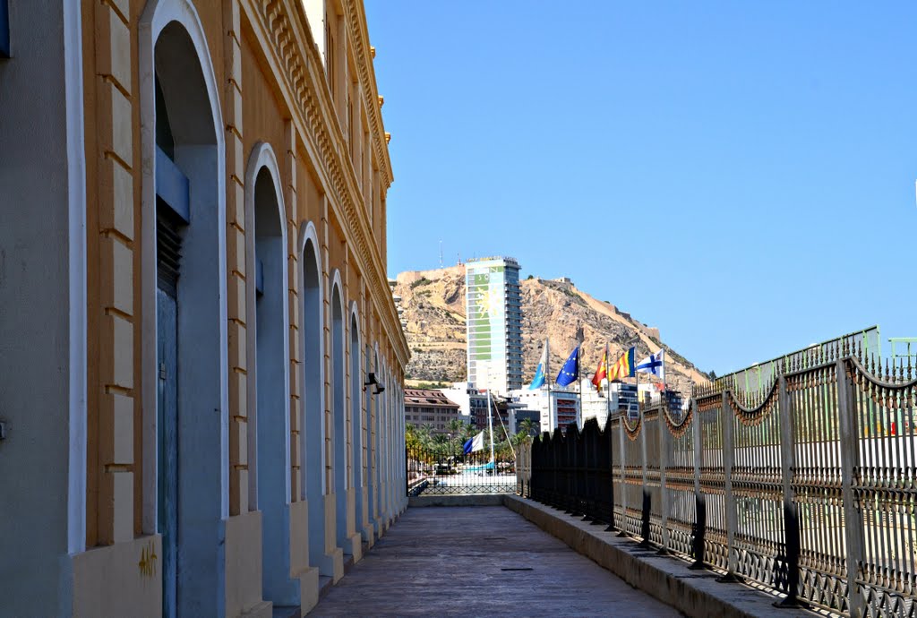 ** Con el paso de los Años **