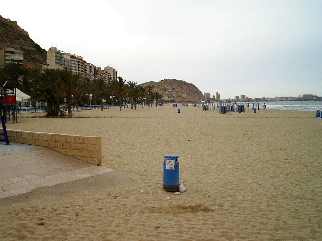 alacant 1