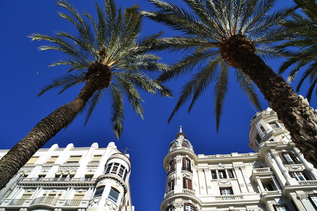 ** ADORNOS DEL CIELO DE ALICANTE **