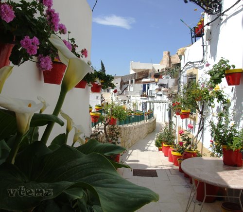 Barrio de Santa Cruz (by vtemz)