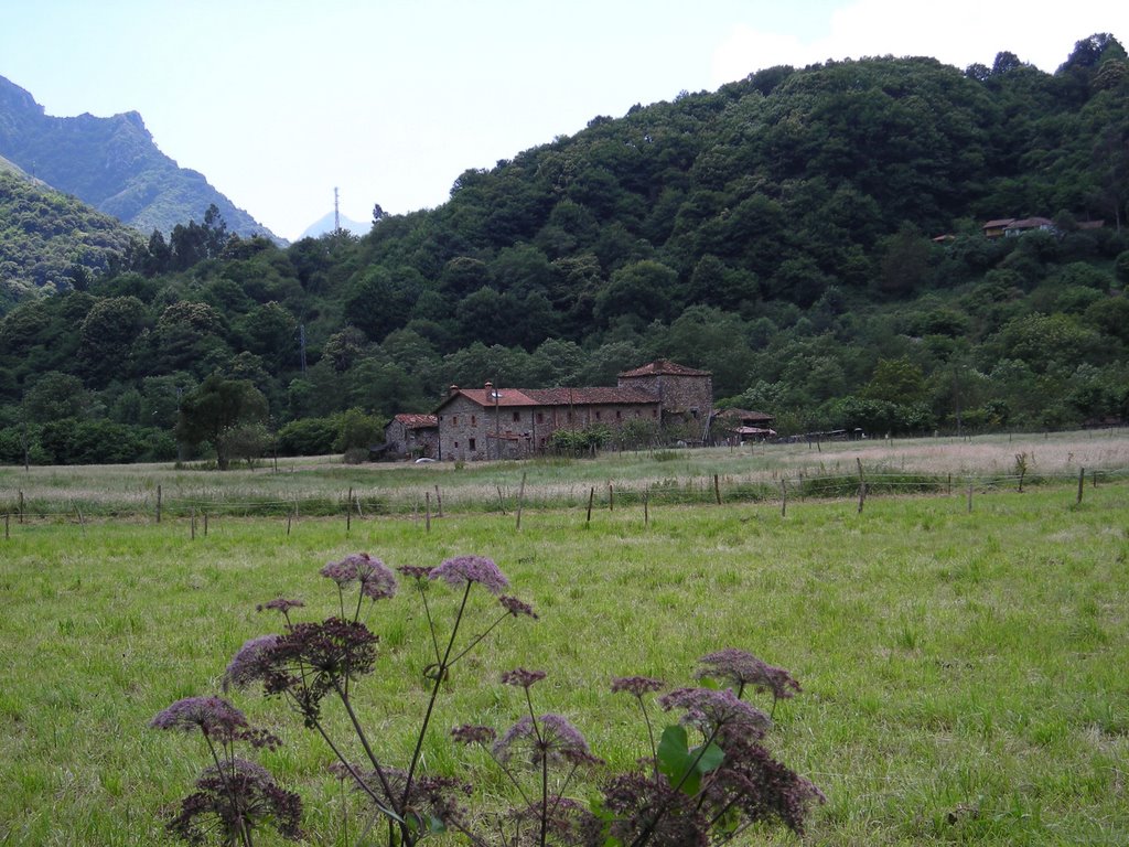 Tuñón