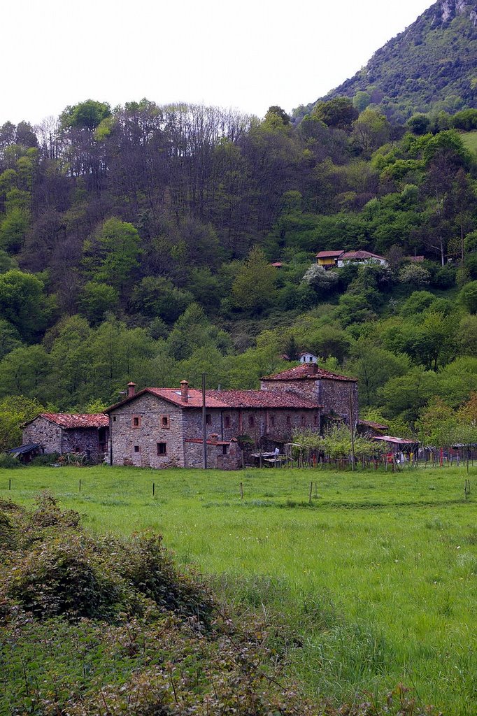 Tuñón, Santo Adriano, Asturias