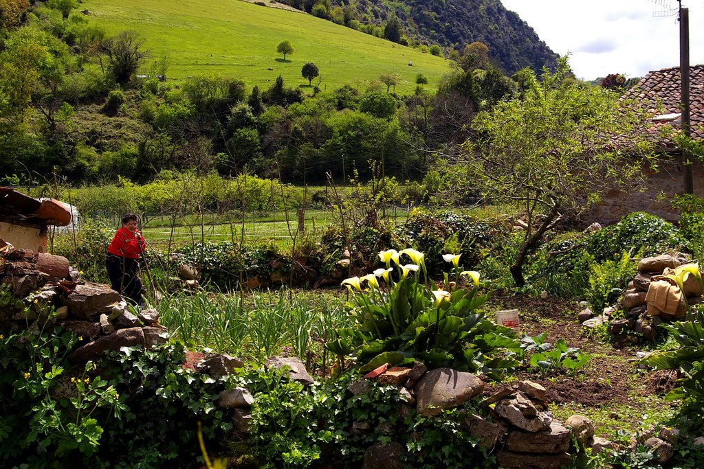 La Huerta, Villanueva, Santo Adriano, Asturias