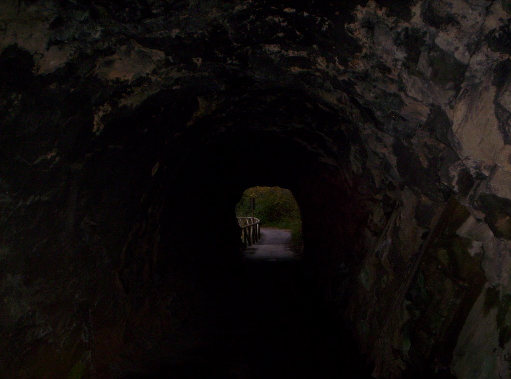 Túnel en la Senda del Oso. SANTO ADRIANO.