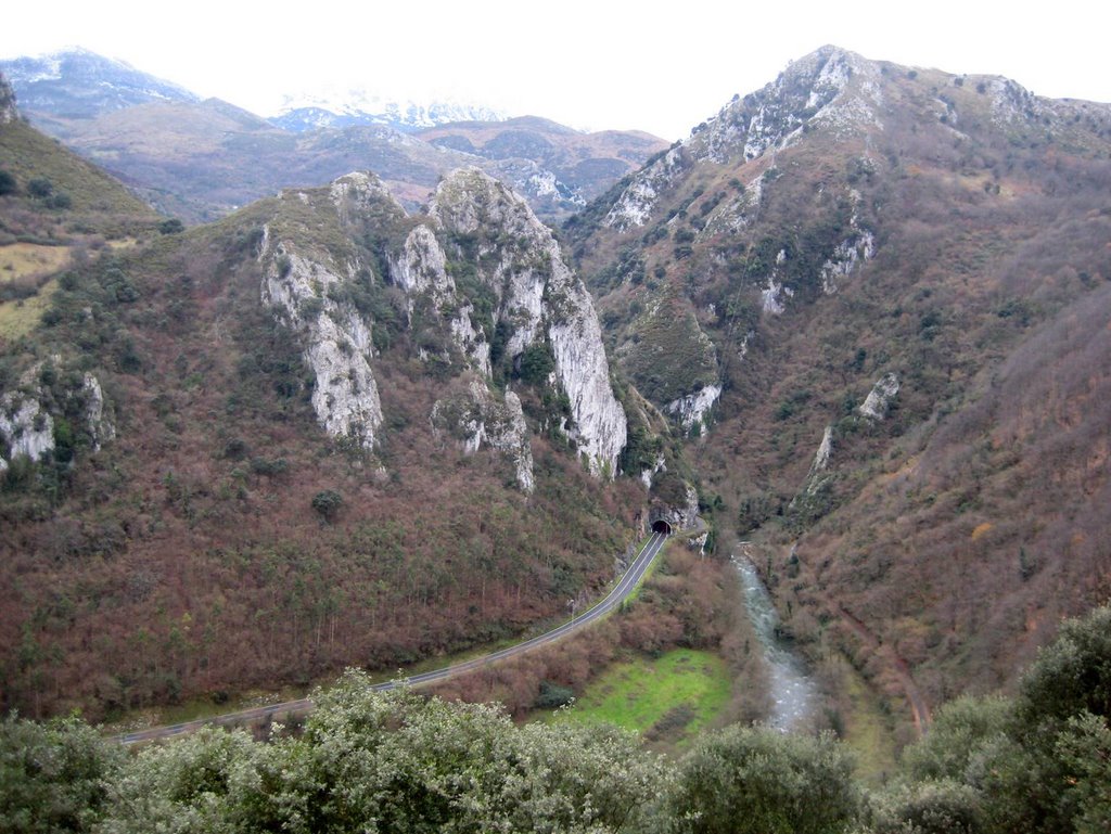 Carretera de Santo Adriano a Proaza y rio Trubia.