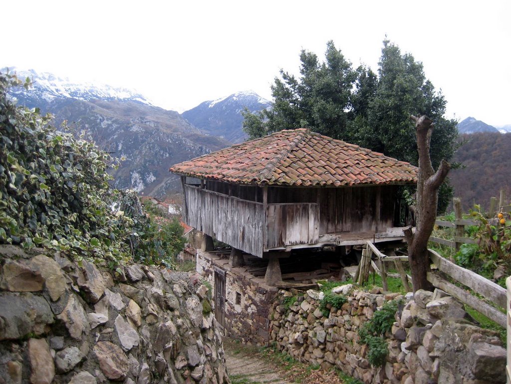 Panera en Castanéu´l Monte (Castañedo del Monte)