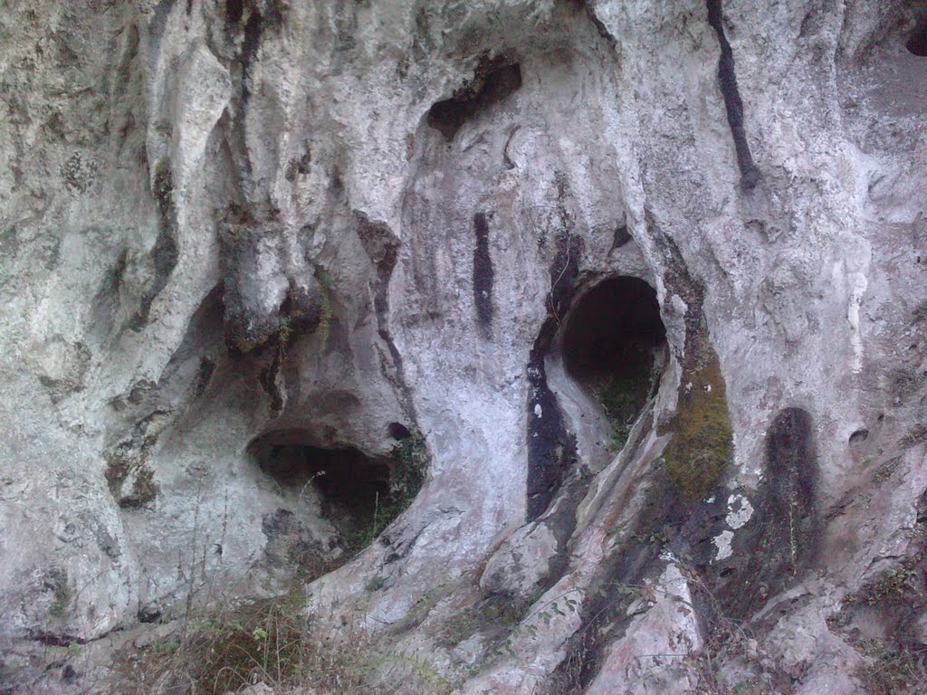 Tuñón, Santo Adriano, Asturias, Cueva de Sabadía