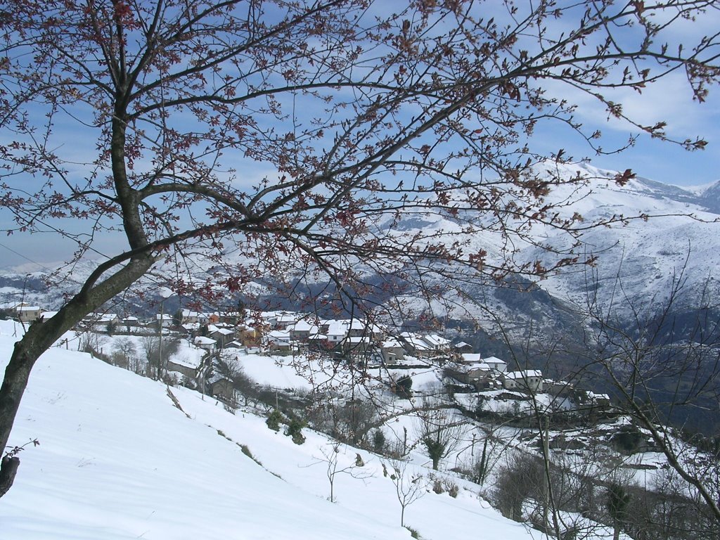 Nevada en Castañeo 2004