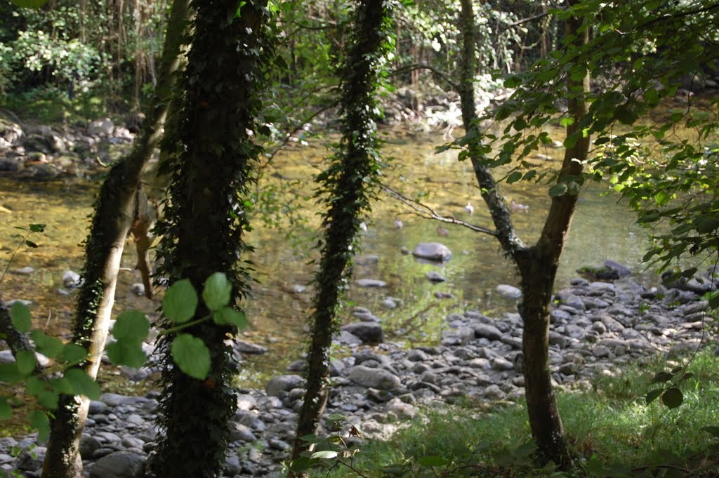 Senda del Oso
