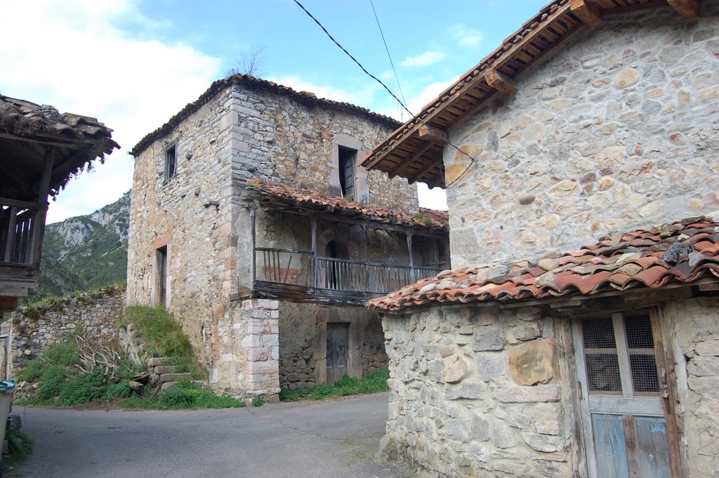 Oviedo