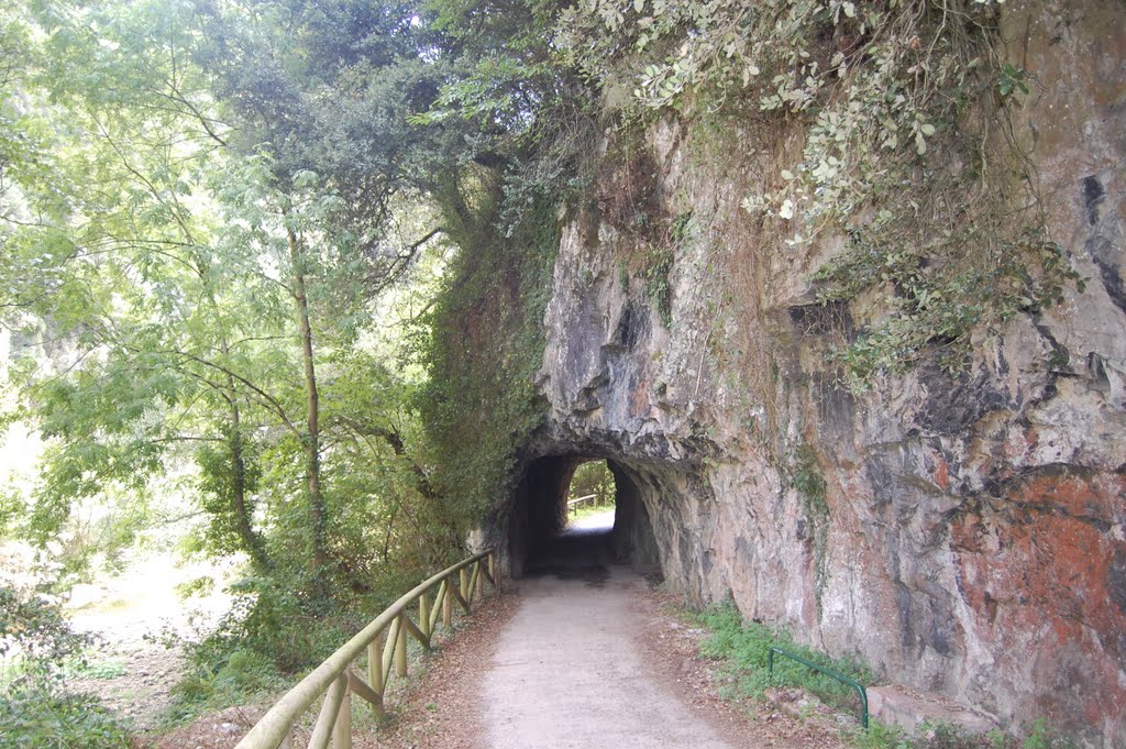 Senda del Oso