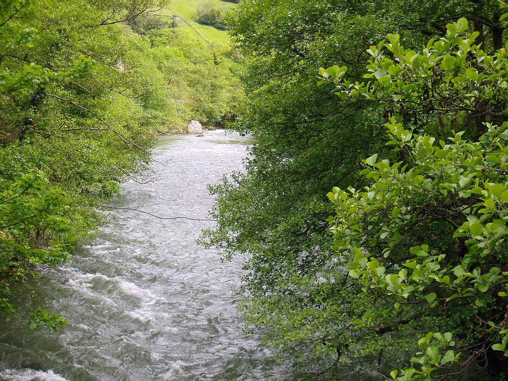 Rio Trubia, Tuñón, Santo Adriano, Asturias