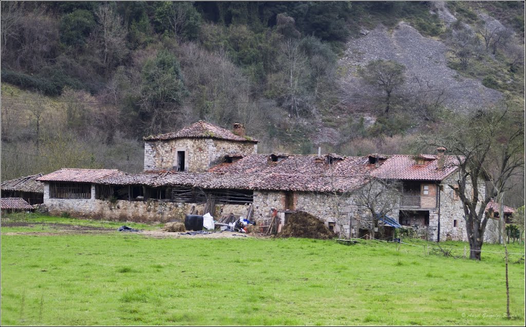 Torre del Abad de Santo Adriano de Tuñón