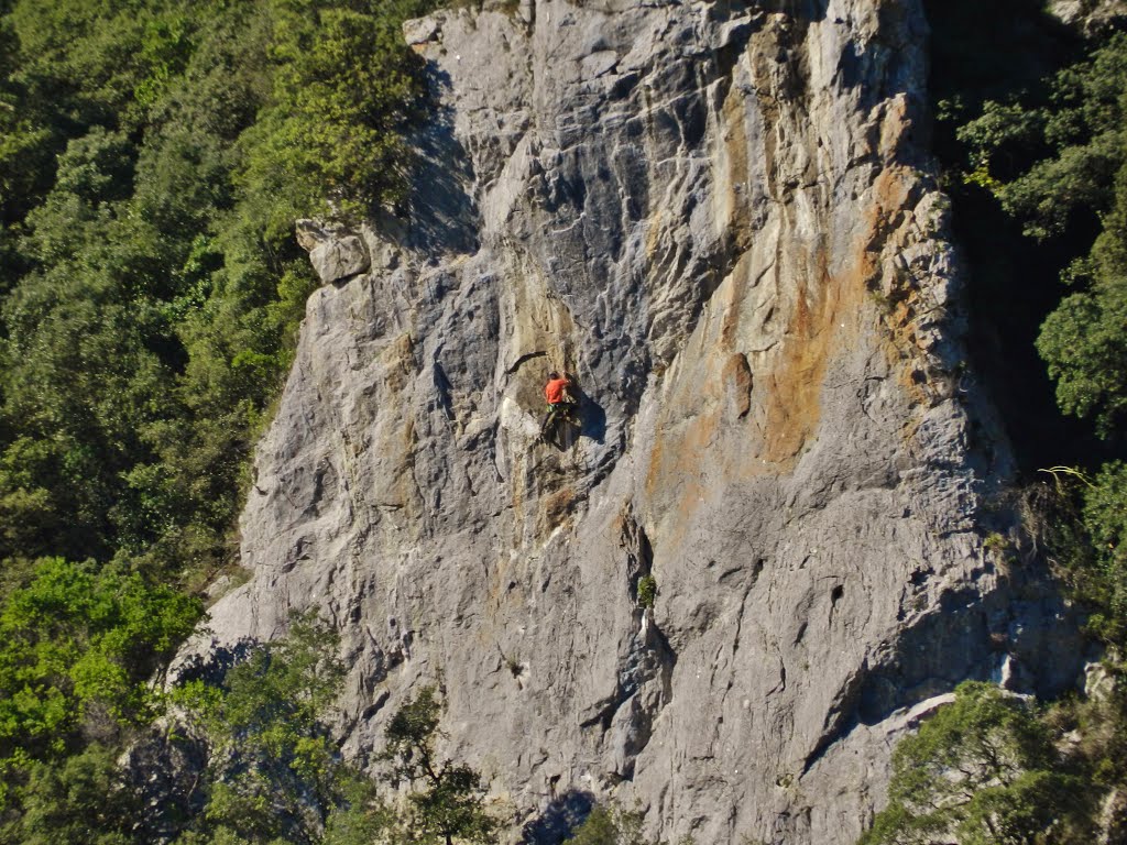 Escalador