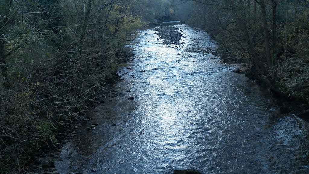 Río Trubia a su paso por Tuñón. SANTO ADRIANO.