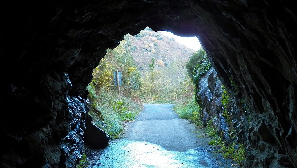 Túnel Escalera. Senda del Oso. SANTO ADRIANO.