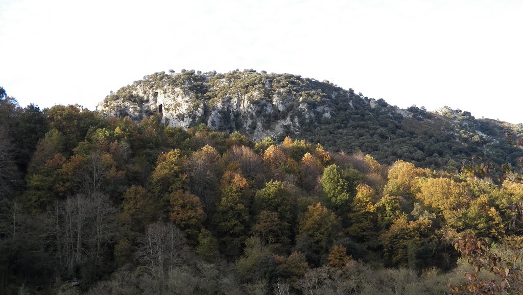 Otoño en la Senda del Oso cerca de Tuñón. SANTO ADRIANO.