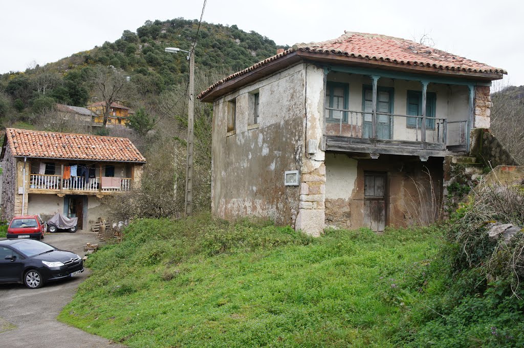 Tenebréu.