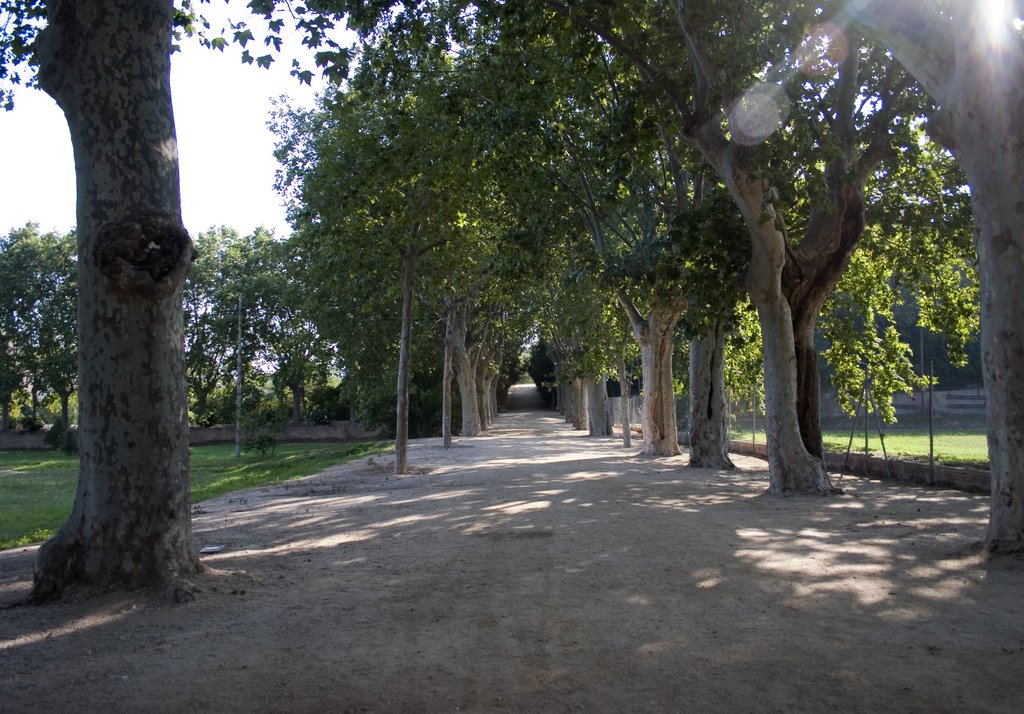 Parque Ca LArnus_Badalona