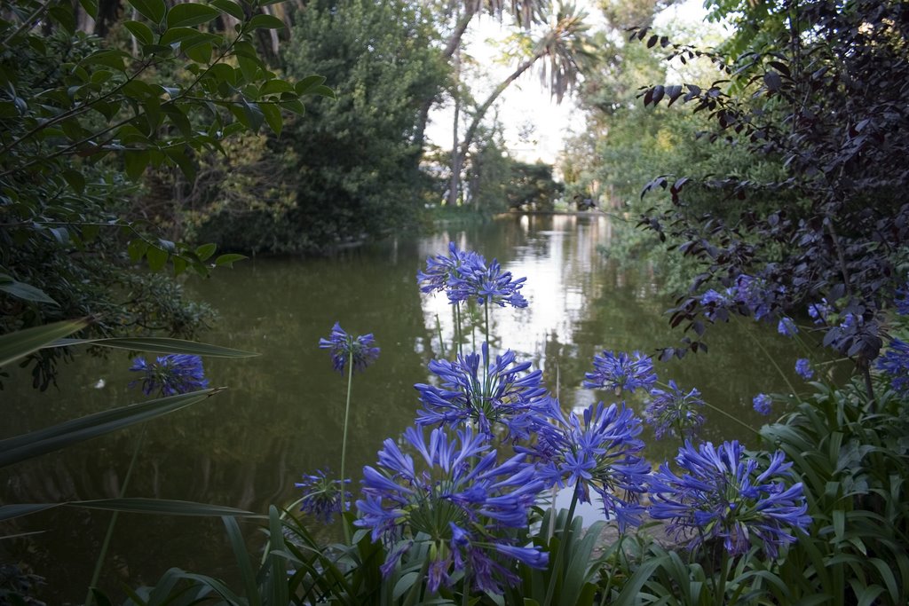 Parque Ca LArnus_Badalona