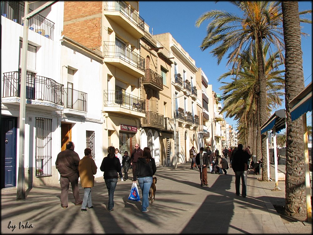 Under the palm trees - Badalona