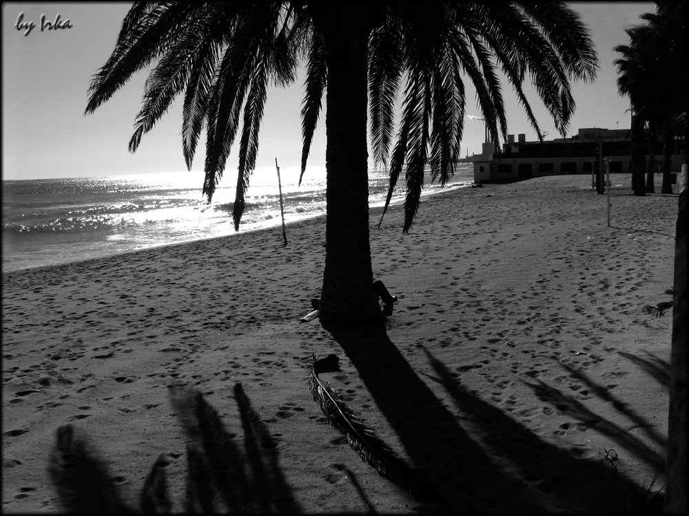 simply - Badalonas beach