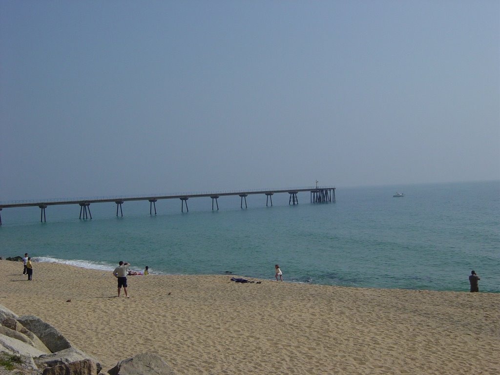 El pont del Petroli - Badalona