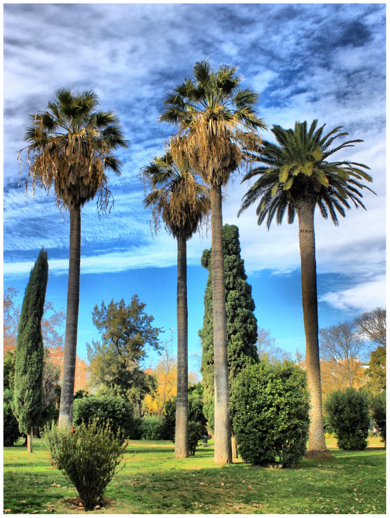 Jardin de la Ciudadela, Barcelona, To Hadi Karimi