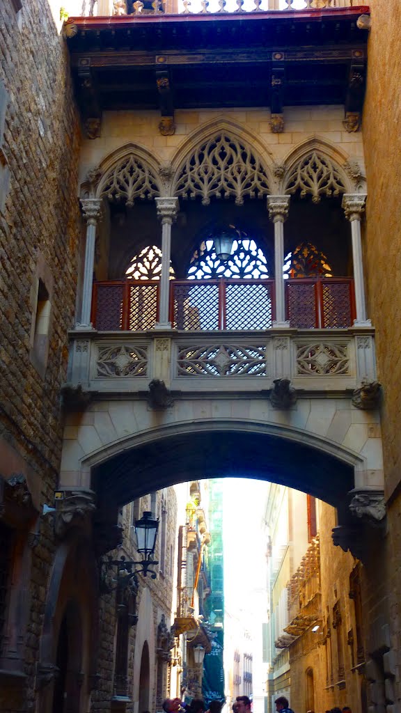 carrer    del    Bisbe .    barri    gòtic    de    Barcelona .