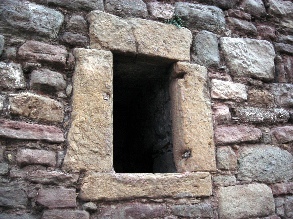 Muralla del Carme (www.guiamanresa.com)