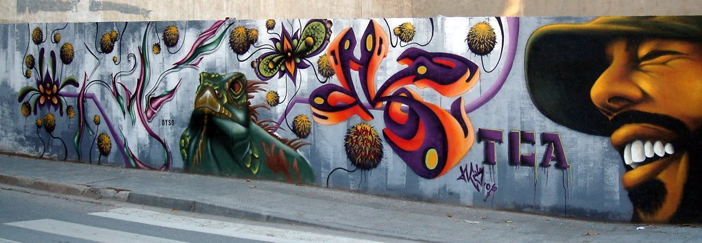 Graffiti - Ctra. Pont de Vilomara - (www.guiamanresa.com)