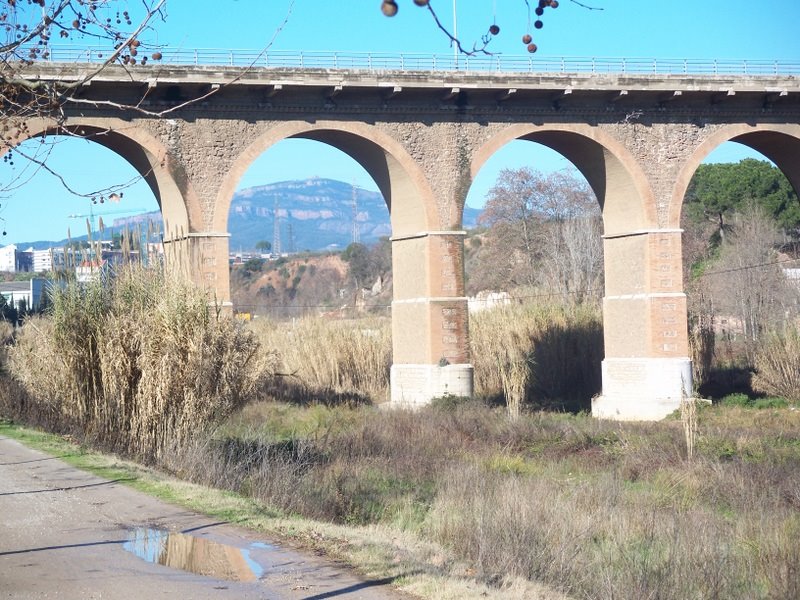 sabadell riu ripoll pont de la salut i la mola