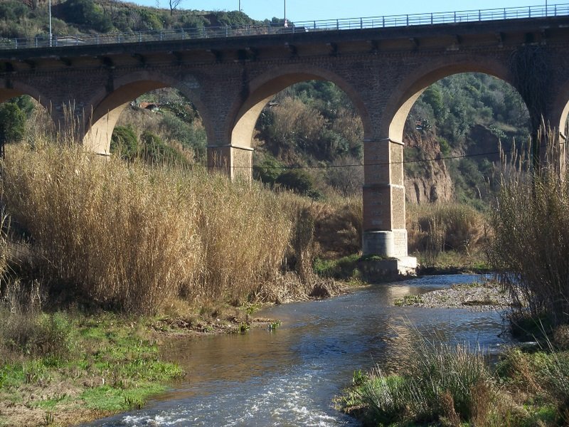 sabadell riu ripoll pont de la salut