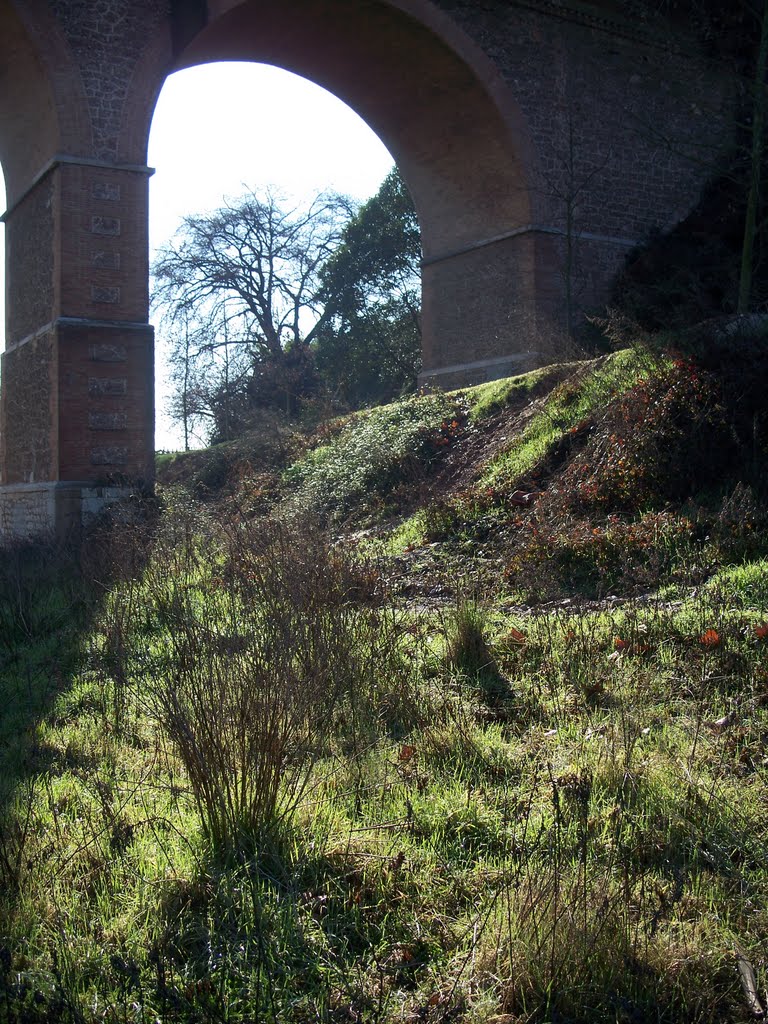 pont de la salut            salut Bridge